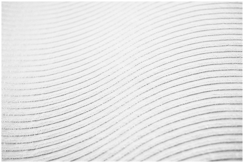313/365