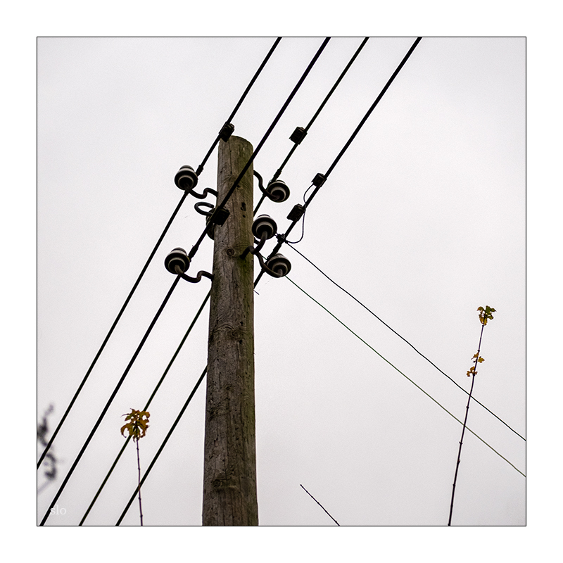 317/365
