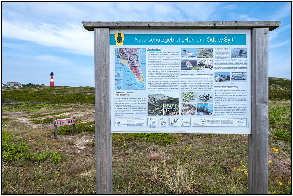 320 Sylt – Hörnum Leuchtturm mit Infotafel Naturschutzgebiet