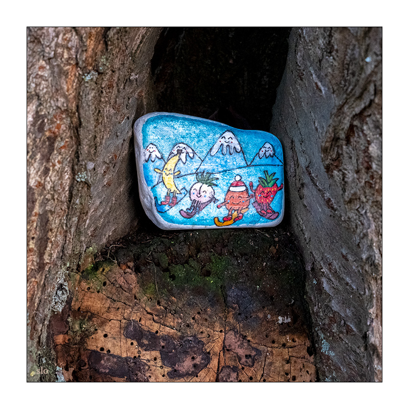 321/365 Nelly Furtado – Childhood Dreams © 2025 Sabine Lommatzsch