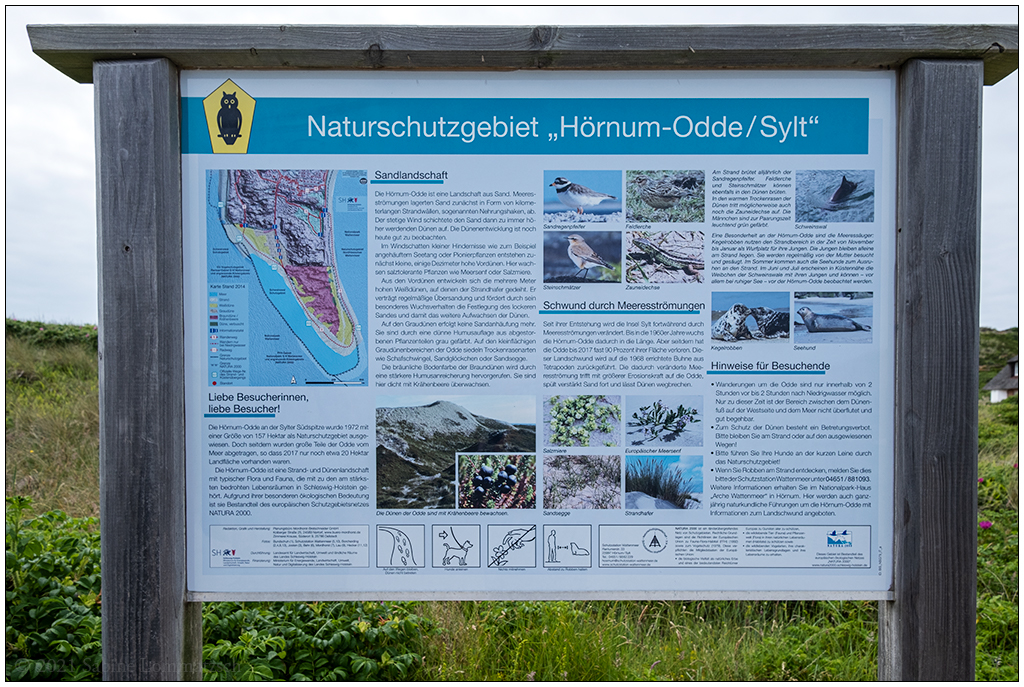 321 Sylt – Infotafel Naturschutzgebiet