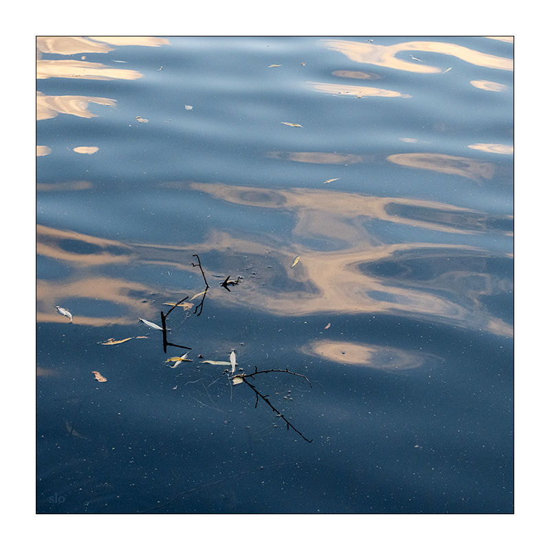 322/365 Peter Gabriel – Quiet Steam © 2025 Sabine Lommatzsch