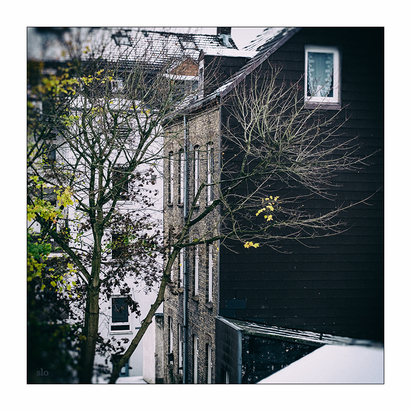 326/365