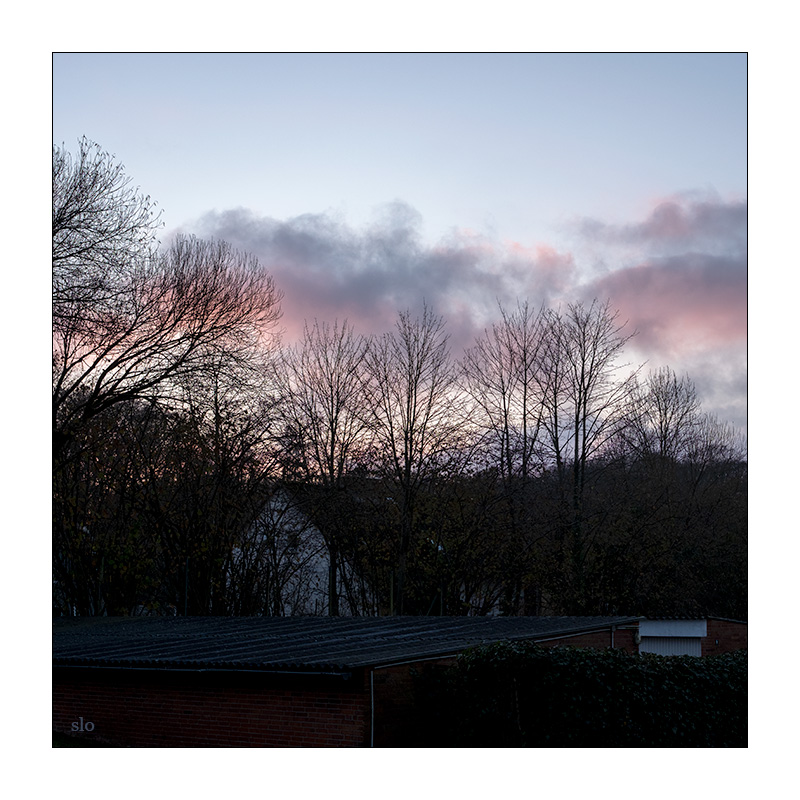 330/365 Tocotronic – Wolke der Unwissenheit © 2025 Sabine Lommatzsch