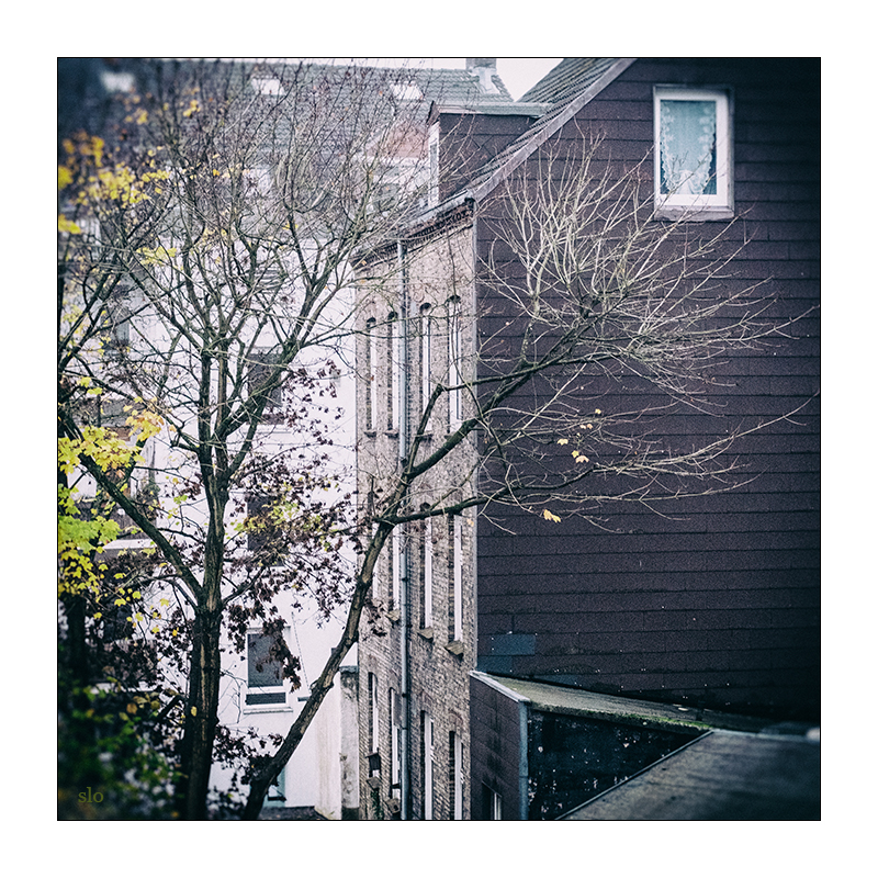 330/365