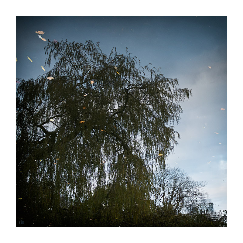 332/365