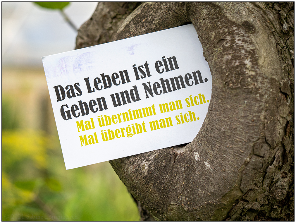 341 Das Leben ist ein Geben und Nehmen