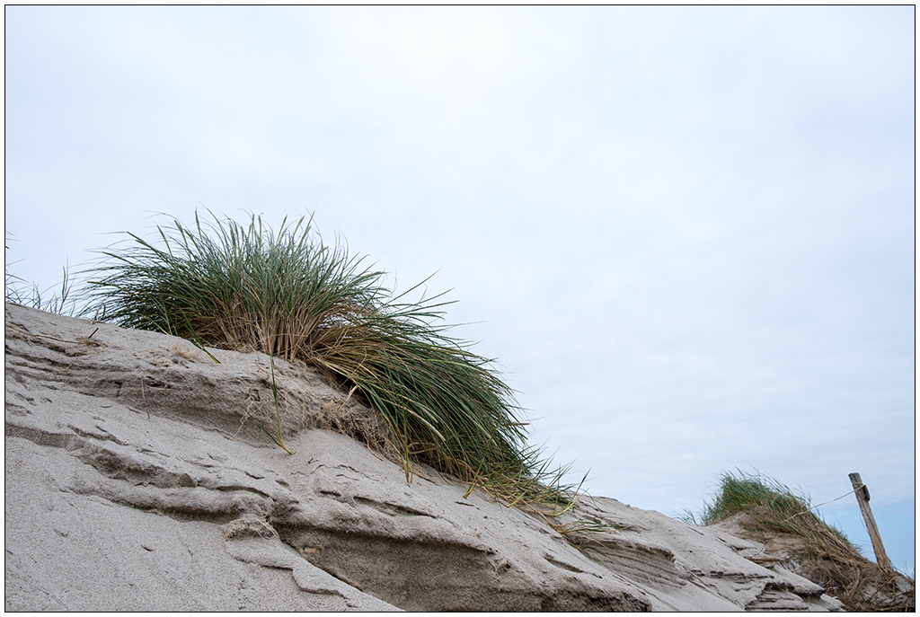 343 Sylt – Hörnum Odde Düne
