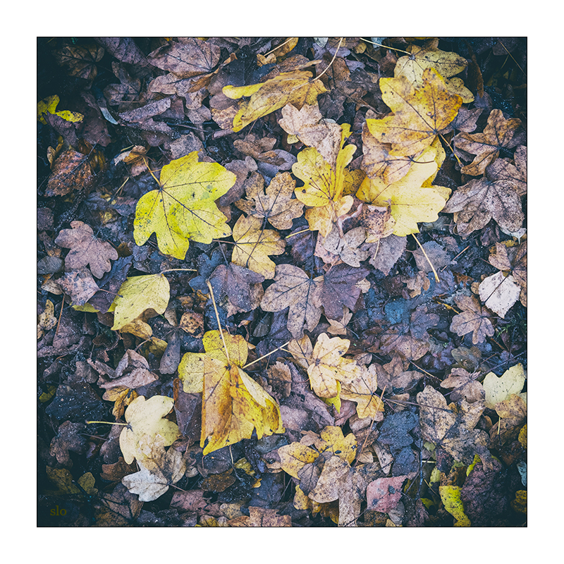 345/365
