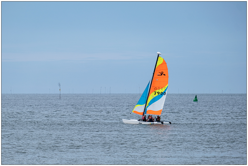 347 Sylt – Segeln