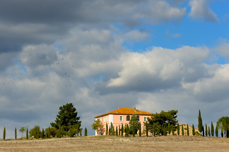 #35