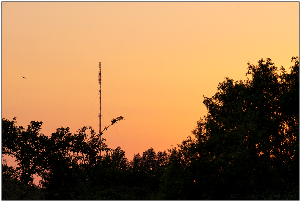 351 Sonnenuntergang