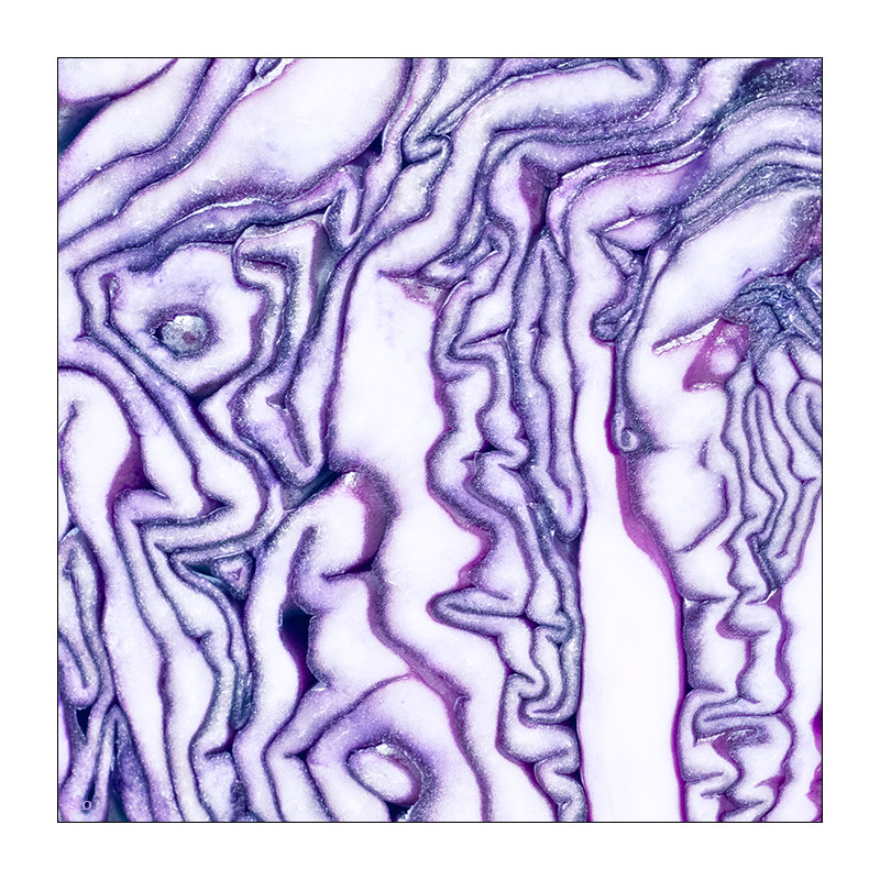 353/365