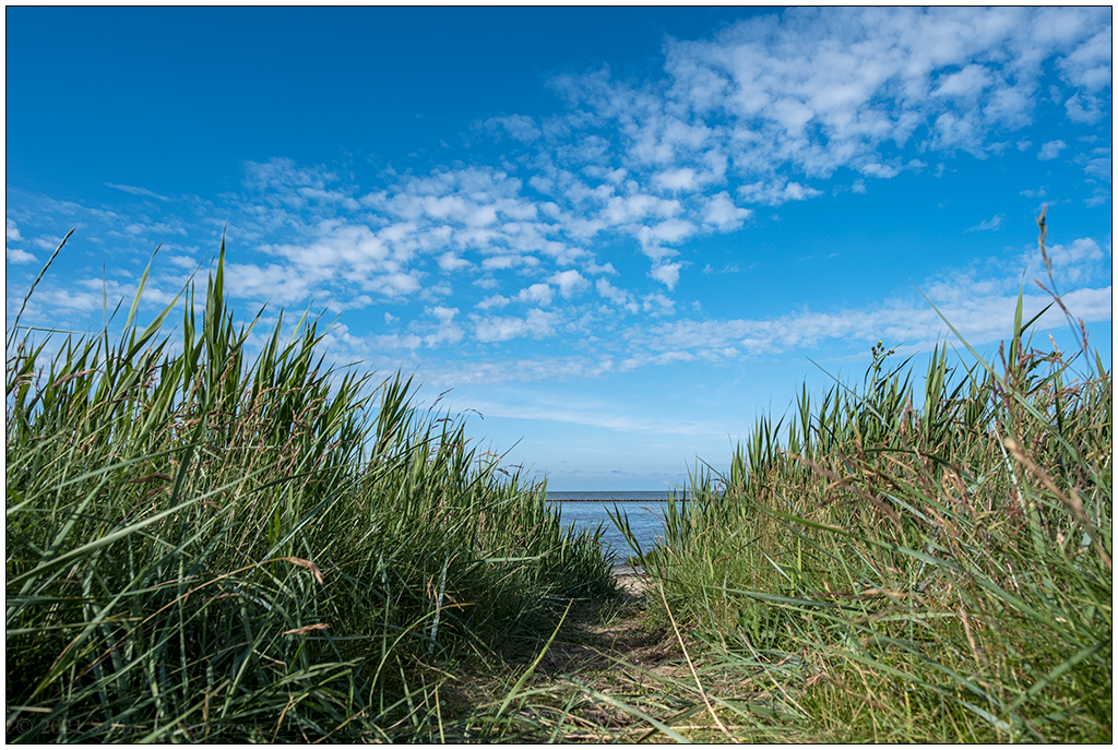 364 Sylt – Keitum Nochmal Gras und Himmel