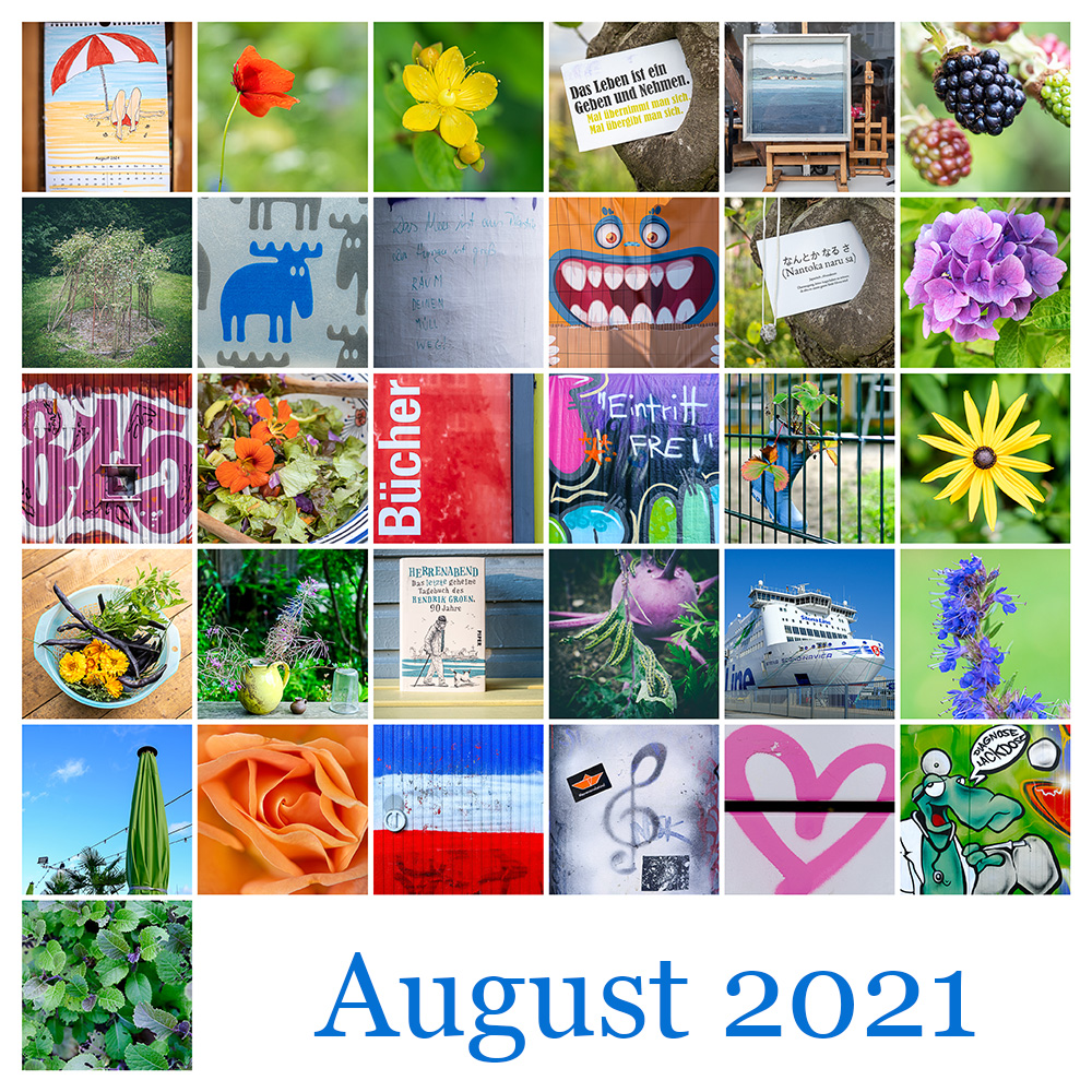 365 | 2021 Mosaik August 2021
