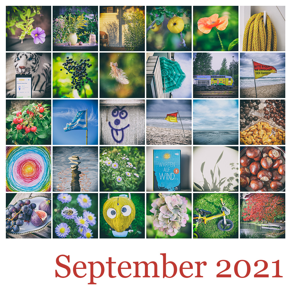 365 | 2021 Mosaik Tableau September