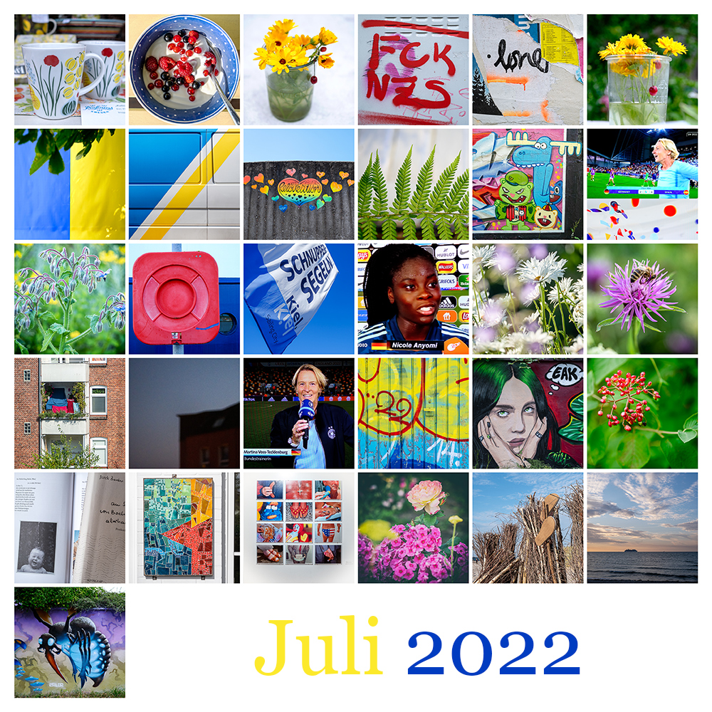 365 | 2022 Mosaik Juli