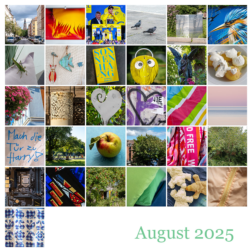 365 | 2025 – Augustmosaik