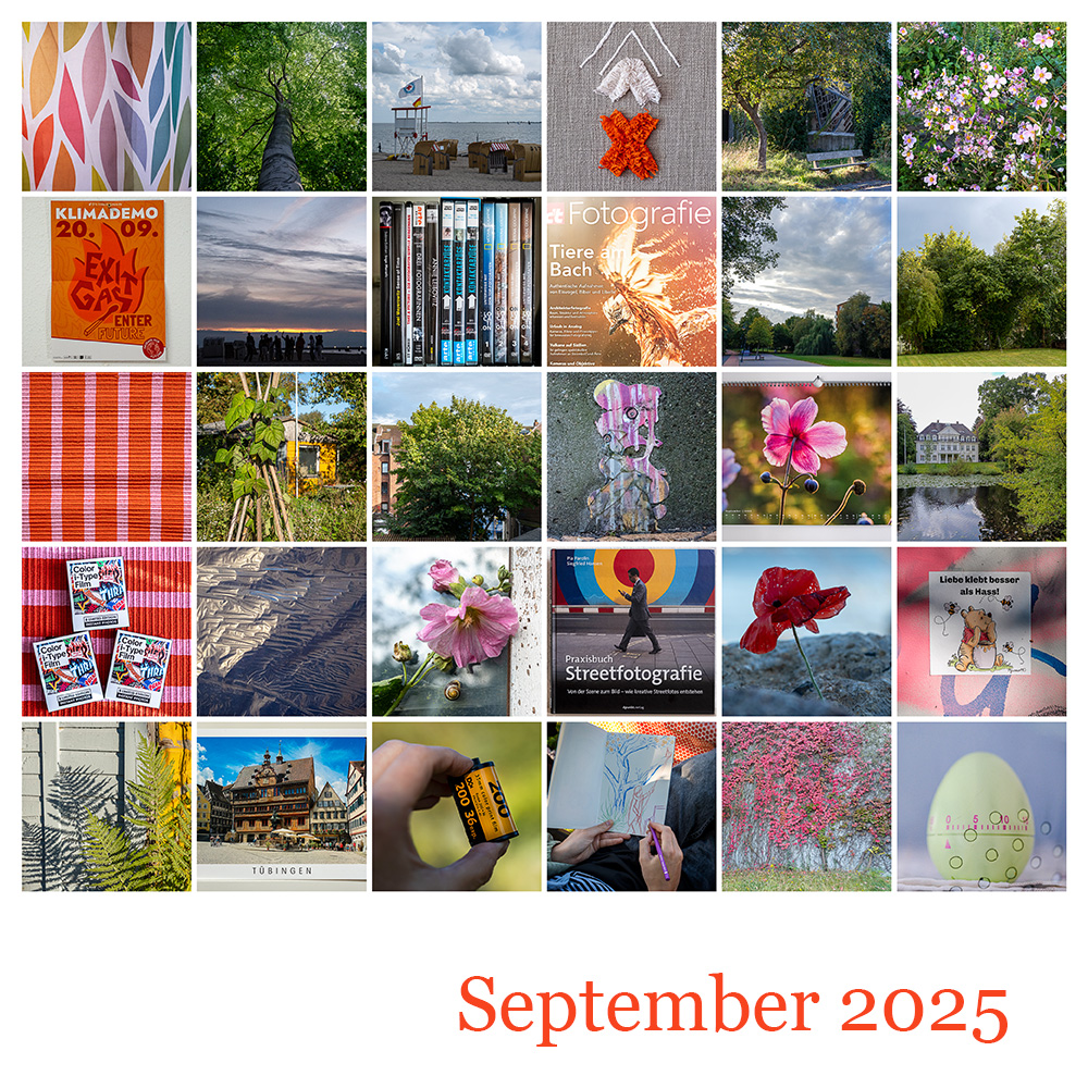 365 | 2025 Monatsmosaik September