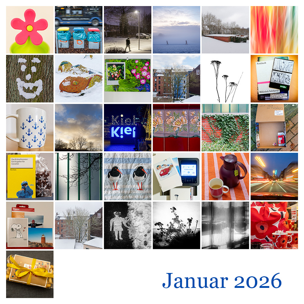 365 Mosaik Januar 2026