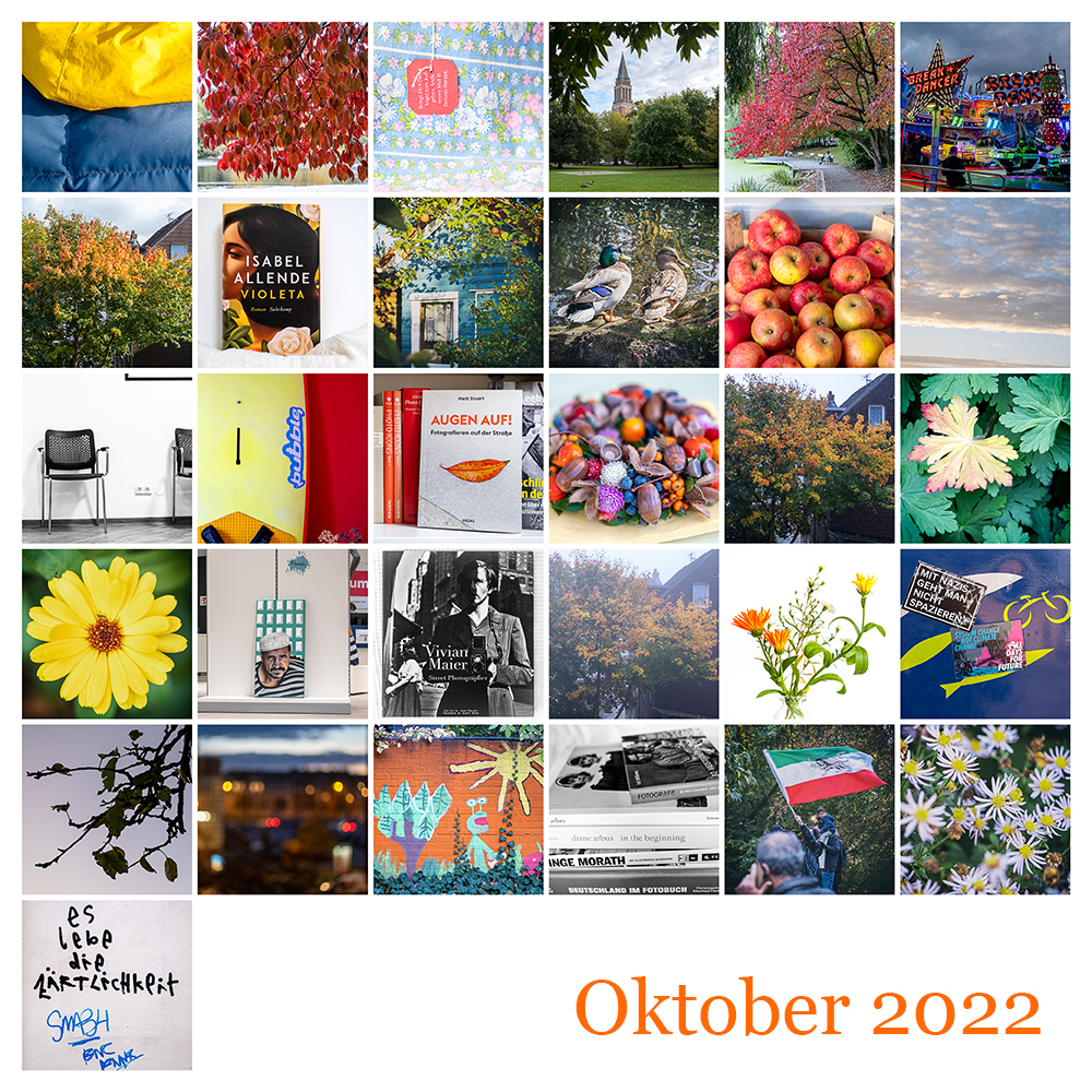 365 Mosaik Oktober 2022