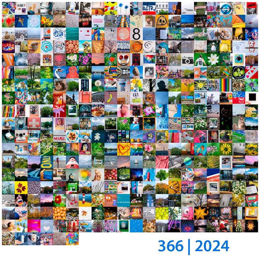 366 | 2024 Jahresmosaik