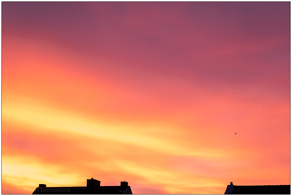 368 Sonnenaufgang I