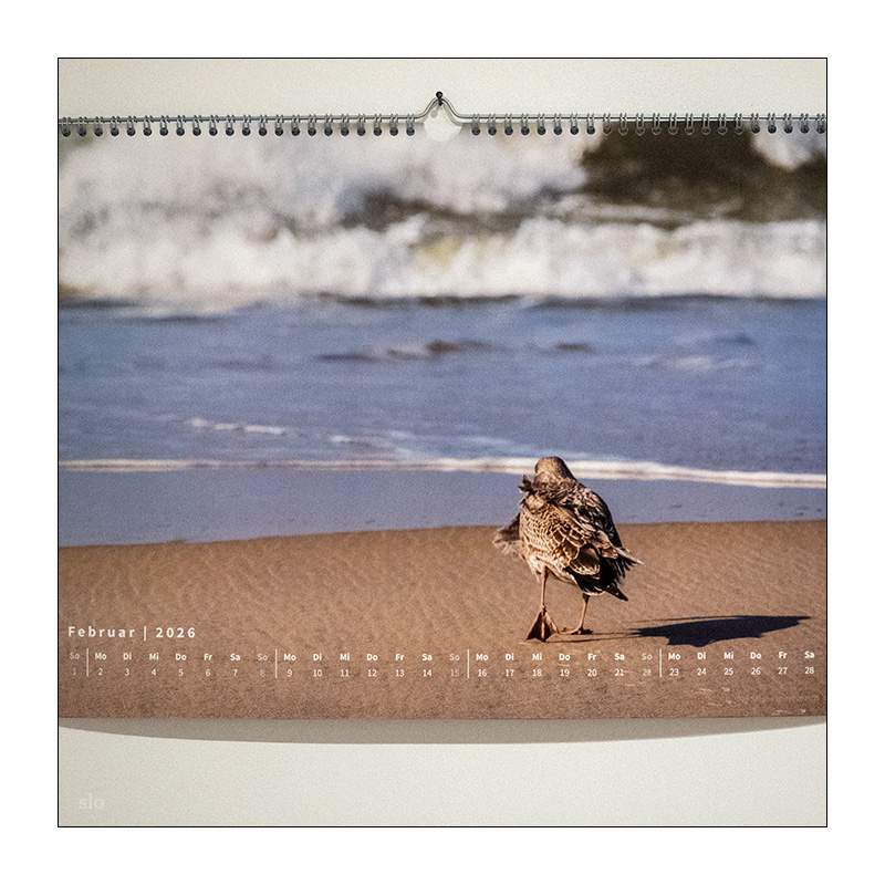37/365 Lana Del Rey – High By The Beach © 2026 Sabine Lommatzsch