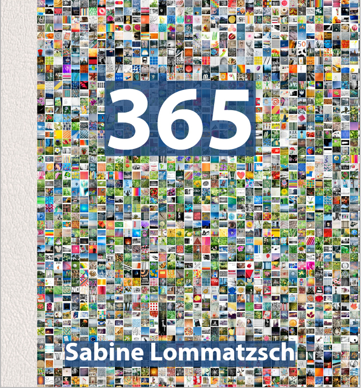 370 Sabine_Lommatzsch_Fotobuch_Screenshot_Cover.jpg
