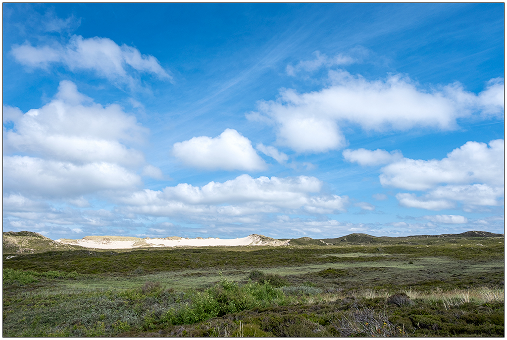373 Sylt – Wanderdüne bei List