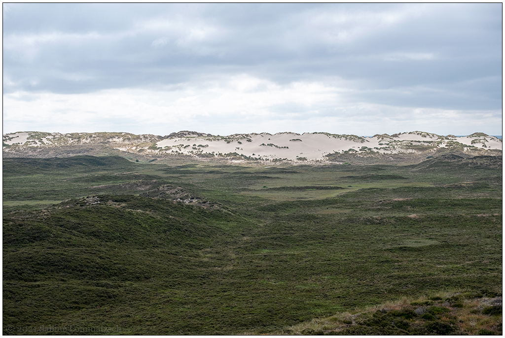 375 Sylt – Jensmettenberg II