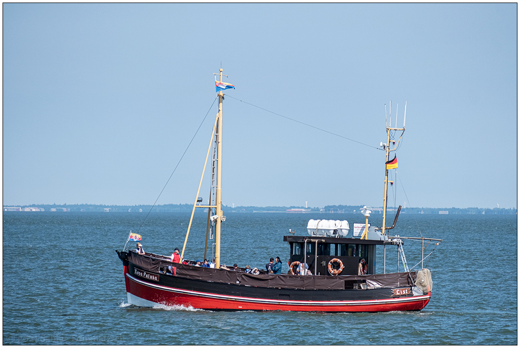 378 Sylt – Rosa Paluka