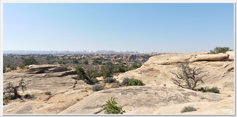 #38 Canyonlands NP Needles District