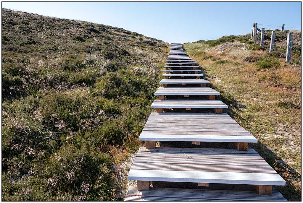 381 Sylt – Jensmettenberg I