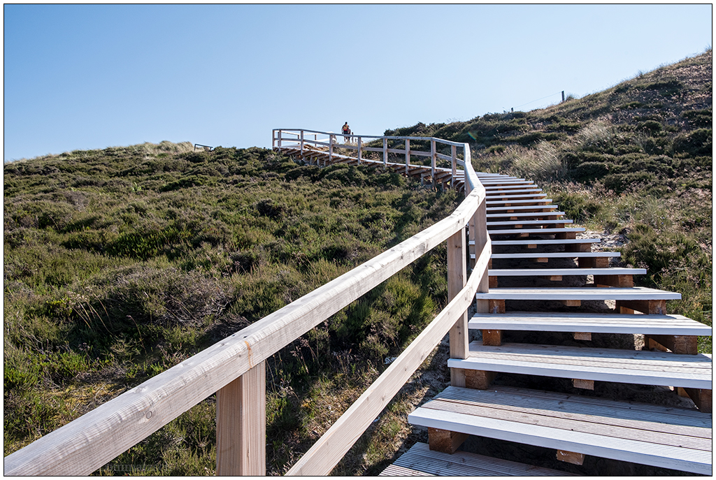 383 Sylt – Jensmettenberg III