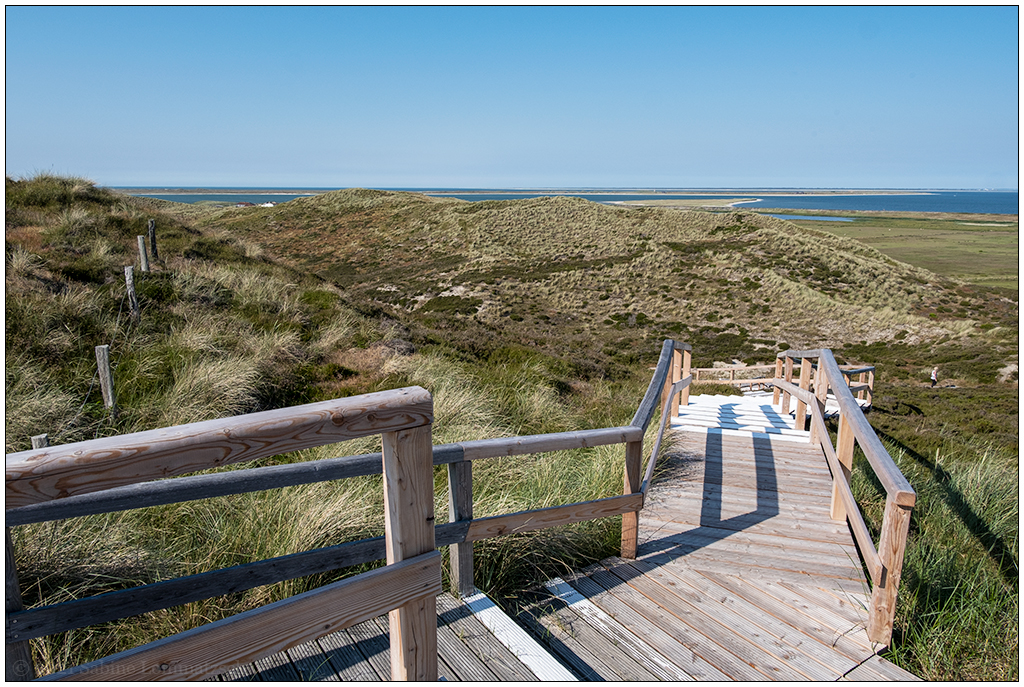 384 Sylt – Jensmettenberg IV