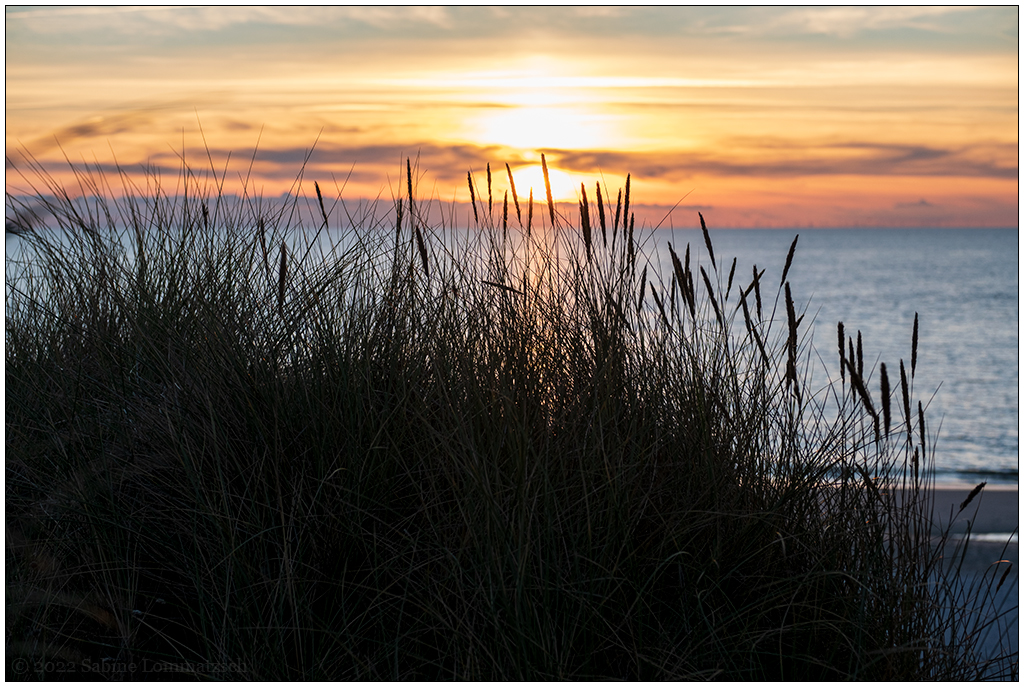 386 Sylt – Sonnenuntergang Kliff Kampen V