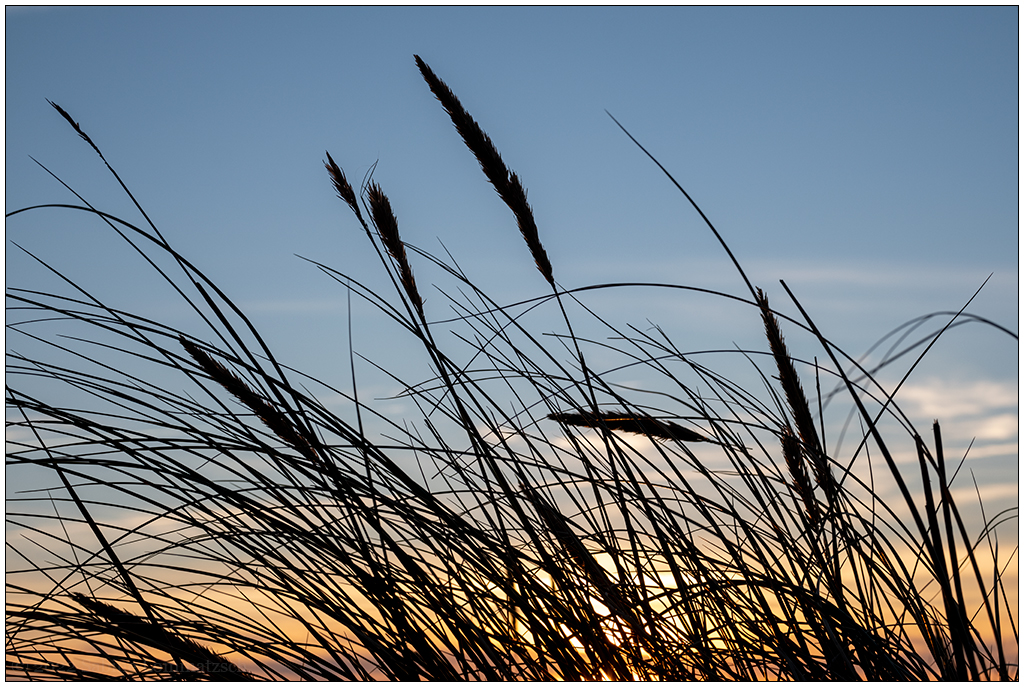 387 Sylt – Sonnenuntergang Kliff Kampen VI