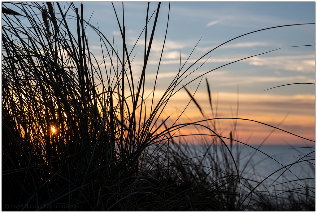 388 Sylt – Sonnenuntergang Kliff Kampen VII