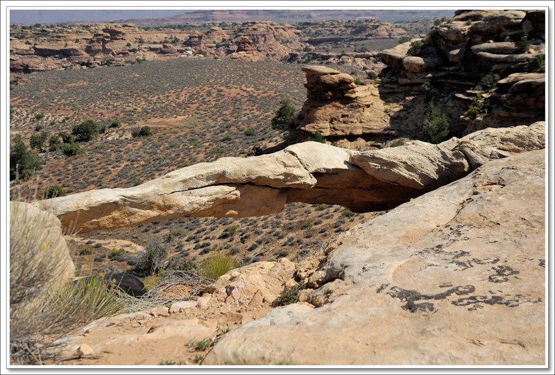 #39 Canyonlands NP Needles District
