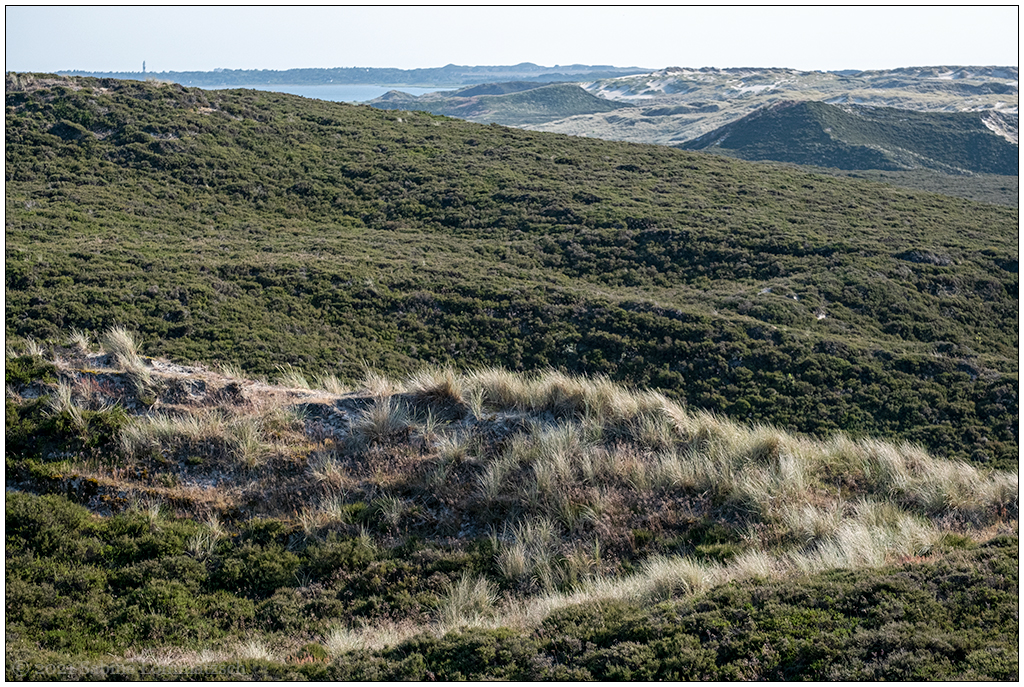 390 Sylt – Jensmettenberg X