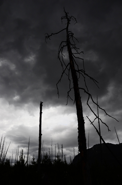 3rd August 2011, Canada