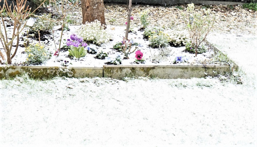 3x schneien und tauen- ergibt 3 nasse Jacken- nun friert es wieder... verrücktes Aprilwetter....jpg