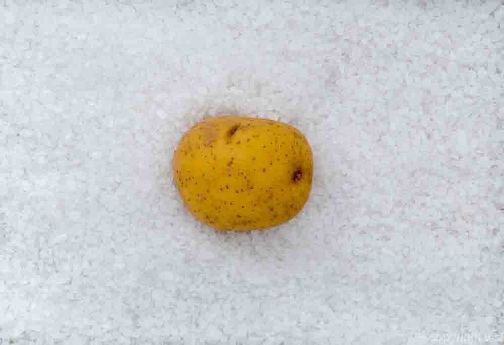 4  Hintergrund Salzkartoffel