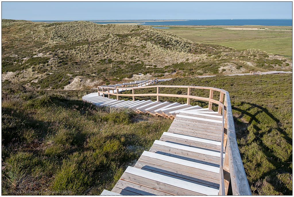 400 Sylt – Jensmettenberg XX