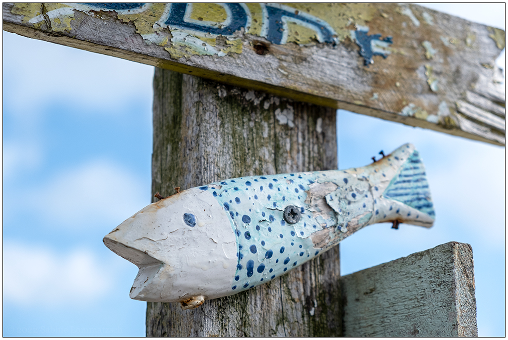 401 Sylt – Fischiger Wegweiser in Hörnum