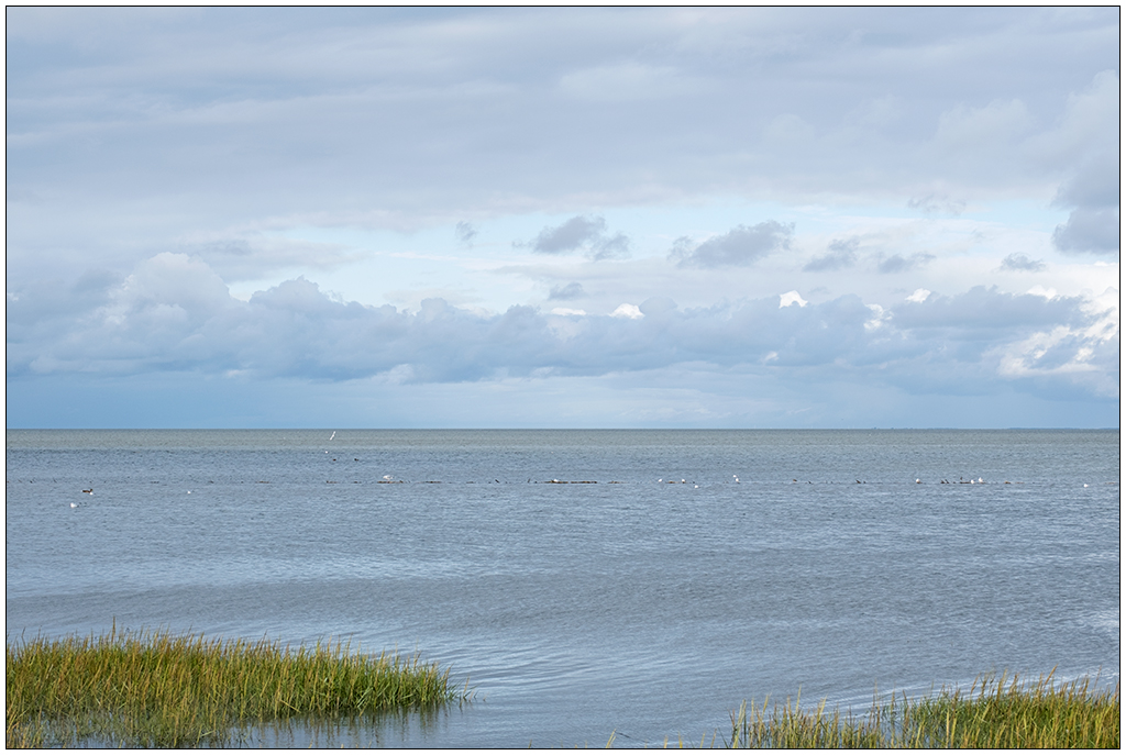 406 Sylt – Spaziergang an der Wattseite in Keitum IV