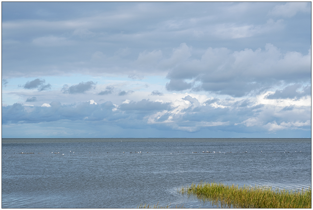 407 Sylt – Spaziergang an der Wattseite in Keitum V