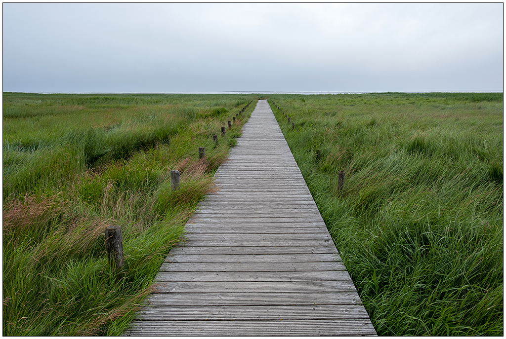 408 Sylt – Steg ins Watt bei Kampen