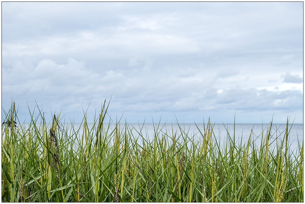 409 Sylt – Spaziergang an der Wattseite in Keitum VII